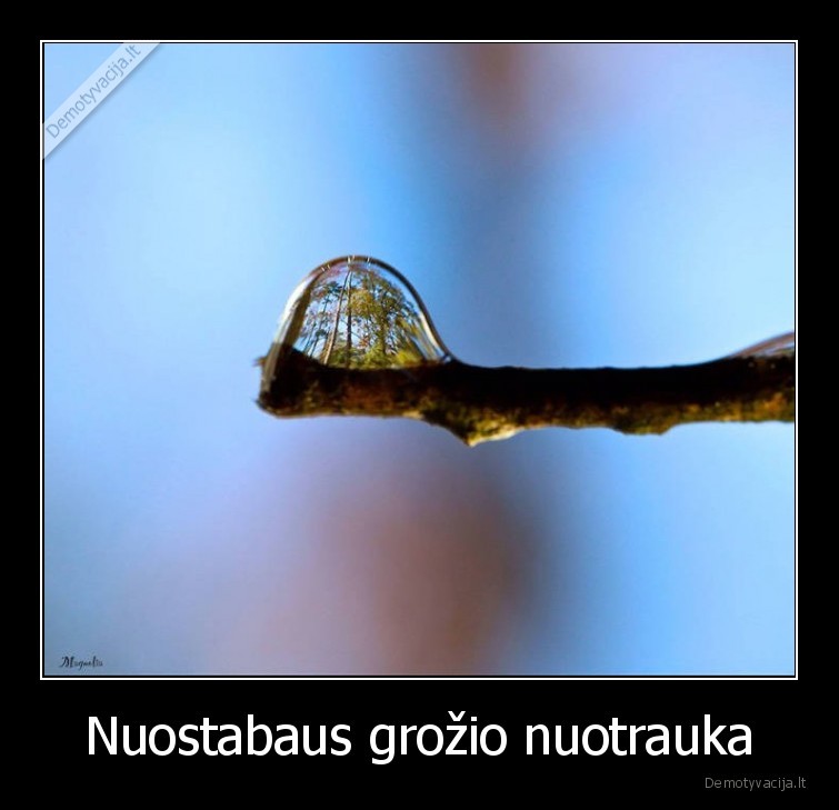 Nuostabaus grožio nuotrauka - 