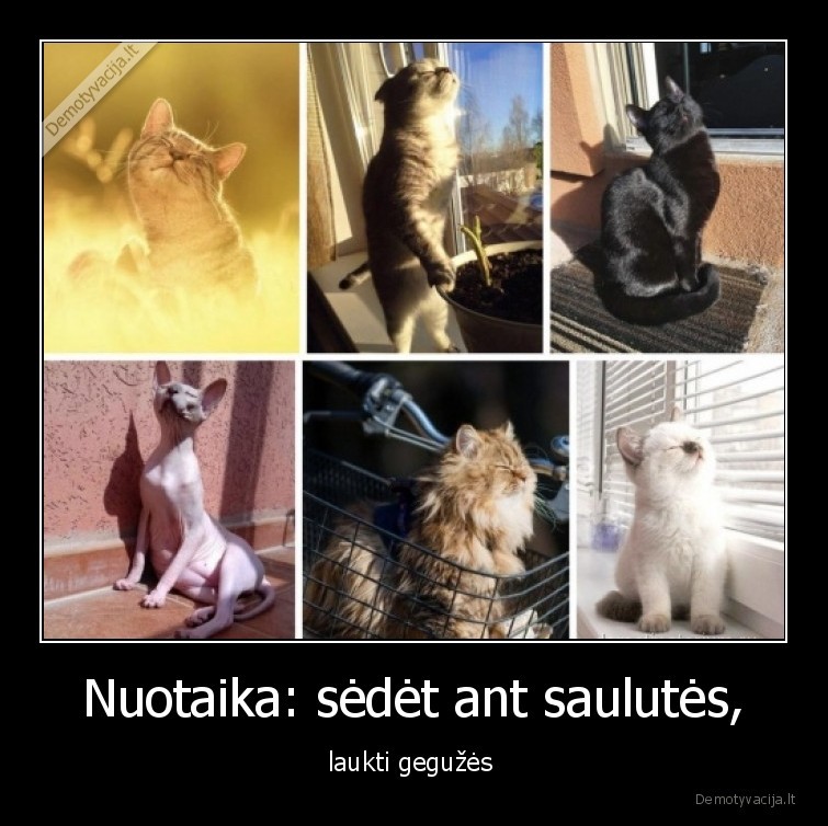 Nuotaika: sėdėt ant saulutės, - laukti gegužės 