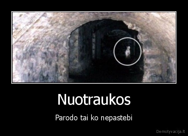 Nuotraukos - Parodo tai ko nepastebi