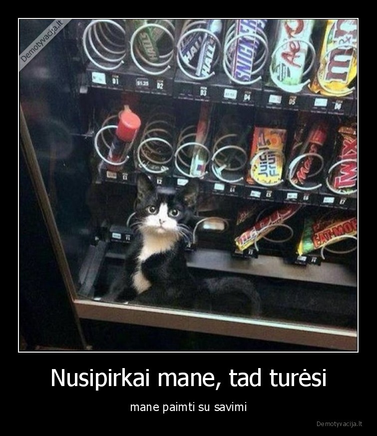 Nusipirkai mane, tad turėsi - mane paimti su savimi