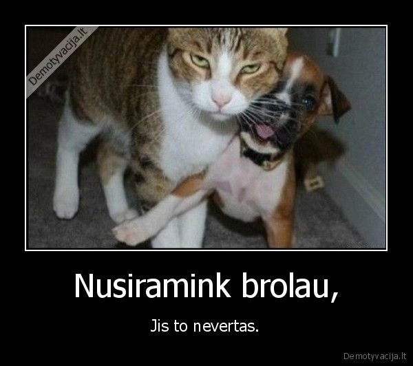 Nusiramink brolau, - Jis to nevertas.