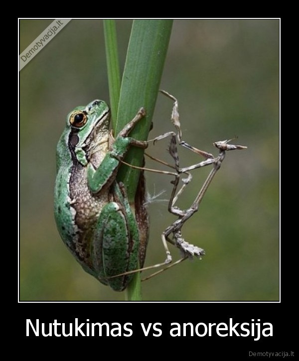 Nutukimas vs anoreksija - 