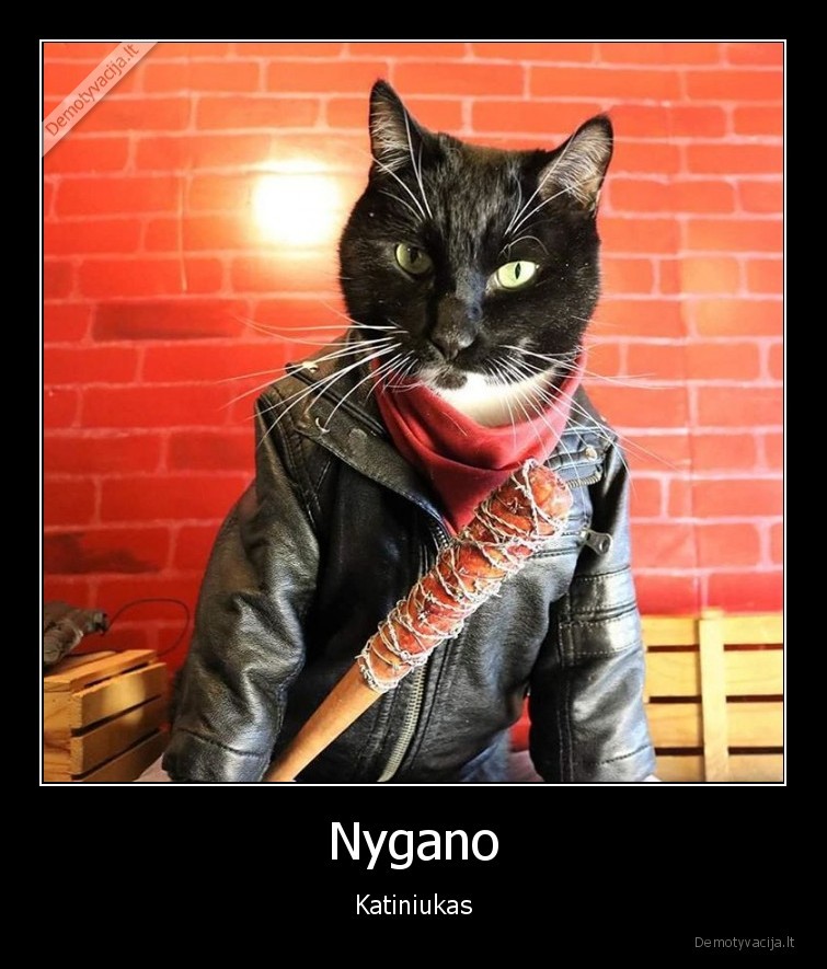 Nygano - Katiniukas