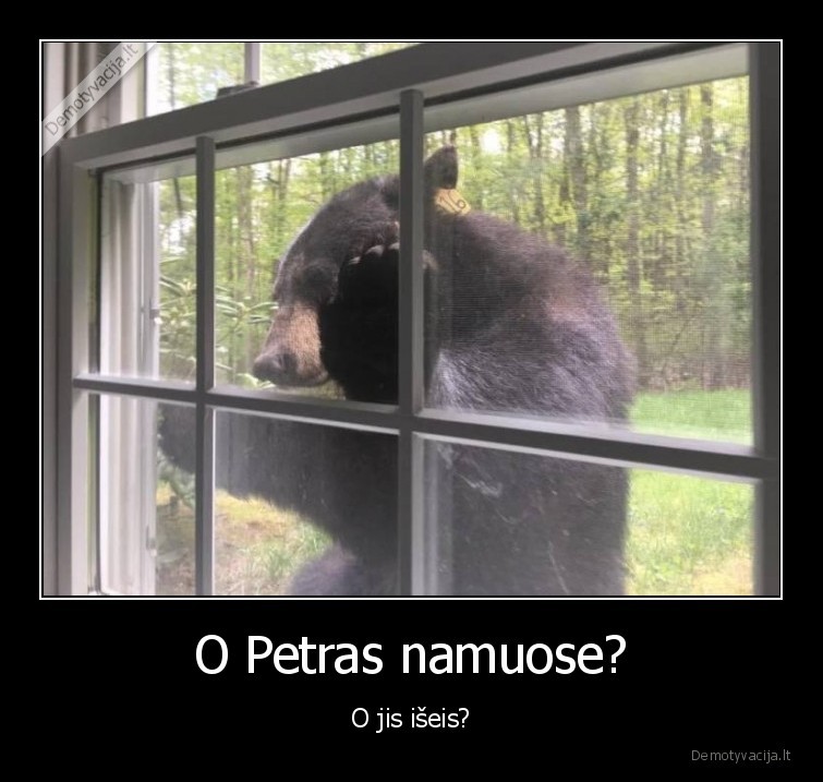 O Petras namuose? - O jis išeis?