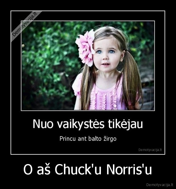 O aš Chuck'u Norris'u - 