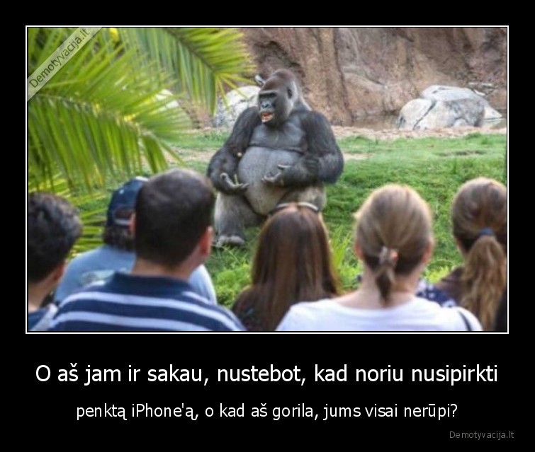 O aš jam ir sakau, nustebot, kad noriu nusipirkti - penktą iPhone'ą, o kad aš gorila, jums visai nerūpi?