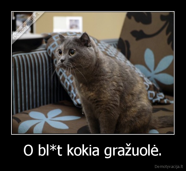 O bl*t kokia gražuolė. - 