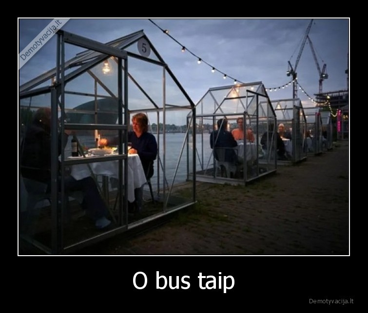 O bus taip - 