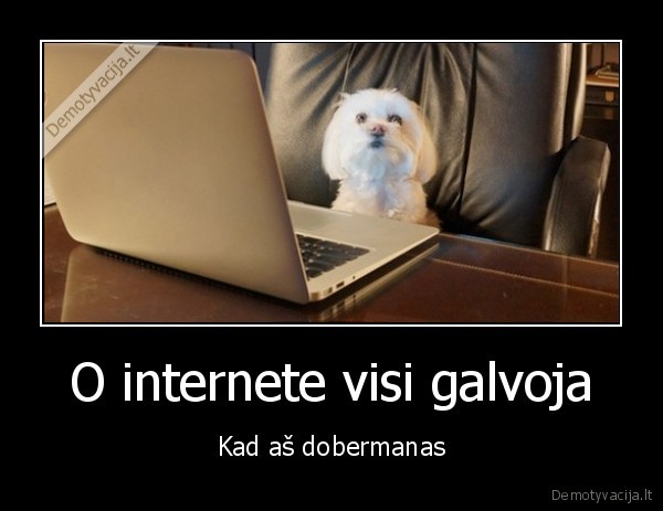 O internete visi galvoja - Kad aš dobermanas