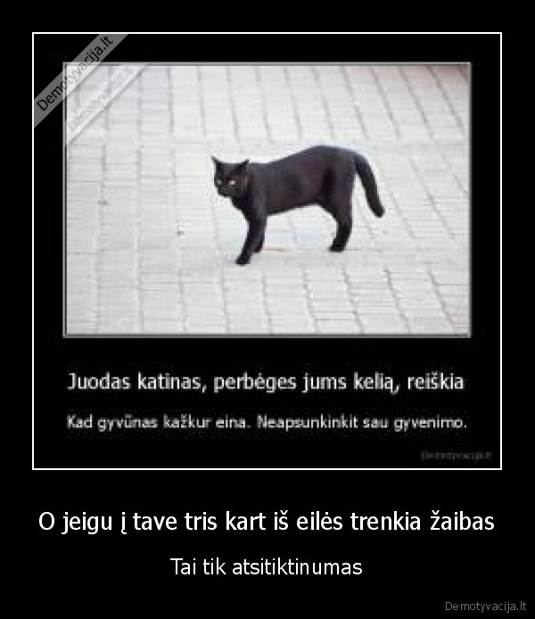 O jeigu į tave tris kart iš eilės trenkia žaibas - Tai tik atsitiktinumas