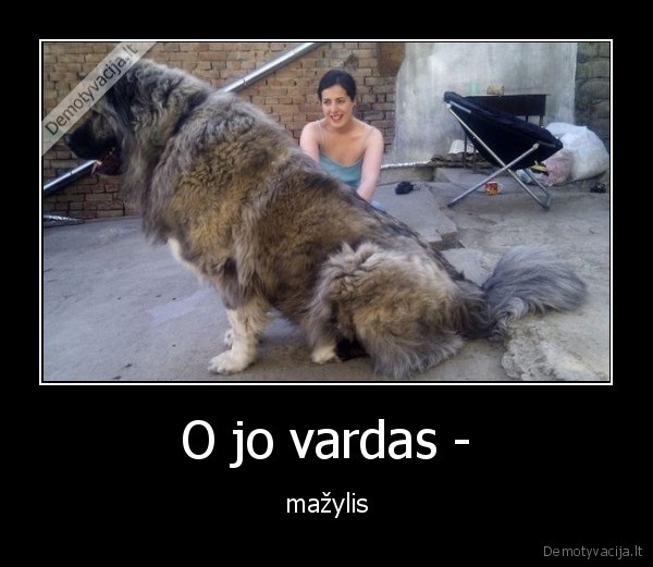 O jo vardas - - mažylis