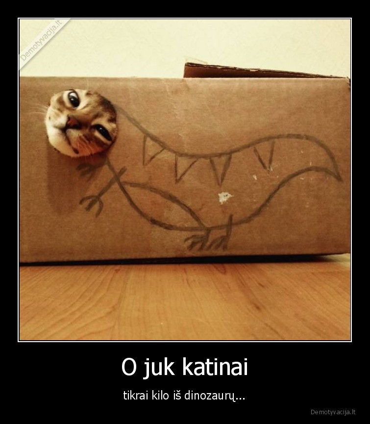 O juk katinai - tikrai kilo iš dinozaurų...