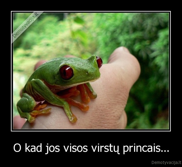 O kad jos visos virstų princais... - 