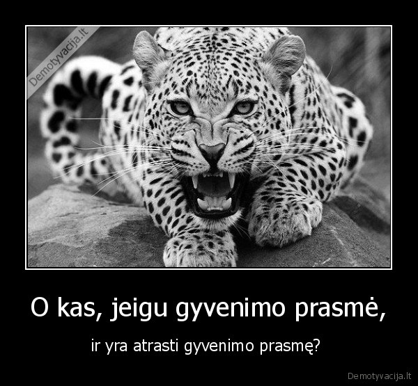 O kas, jeigu gyvenimo prasmė, - ir yra atrasti gyvenimo prasmę? 