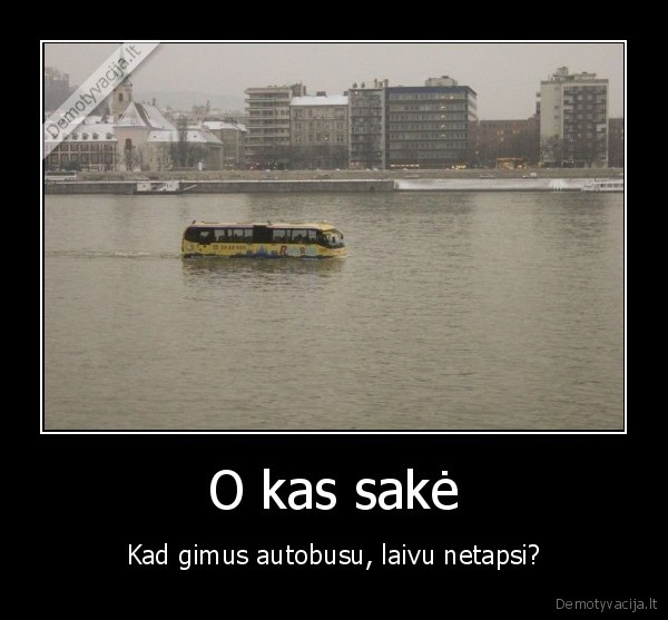 O kas sakė - Kad gimus autobusu, laivu netapsi?