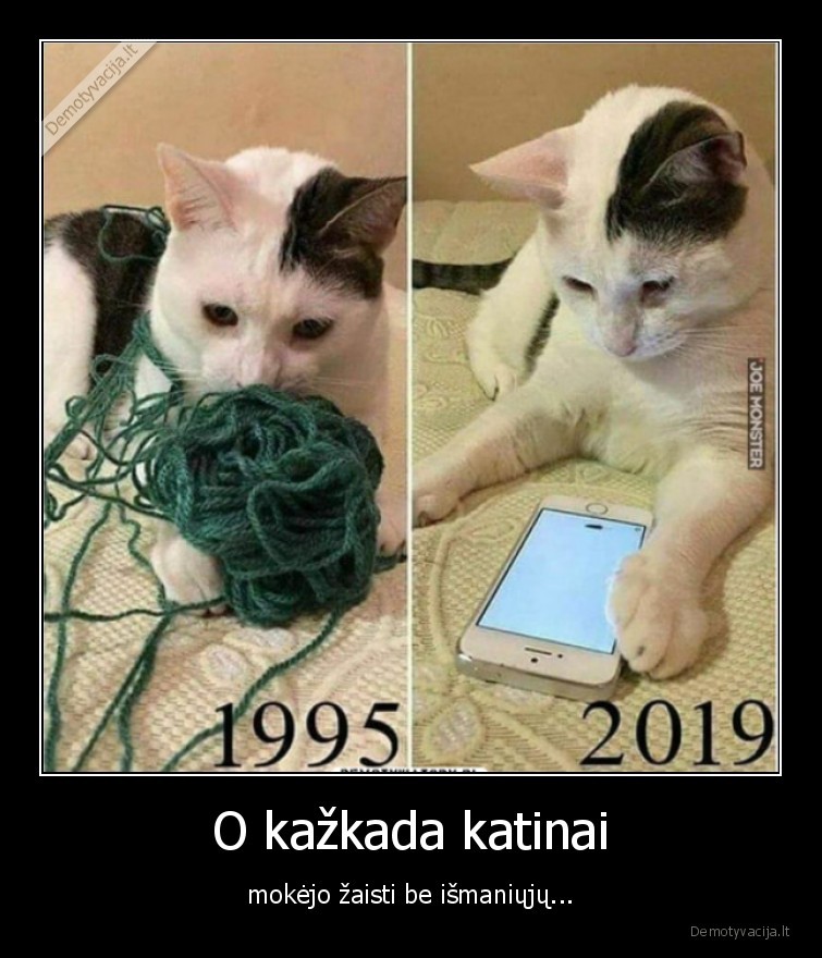 O kažkada katinai - mokėjo žaisti be išmaniųjų...