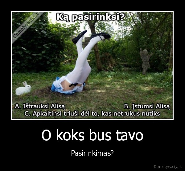 O koks bus tavo - Pasirinkimas?