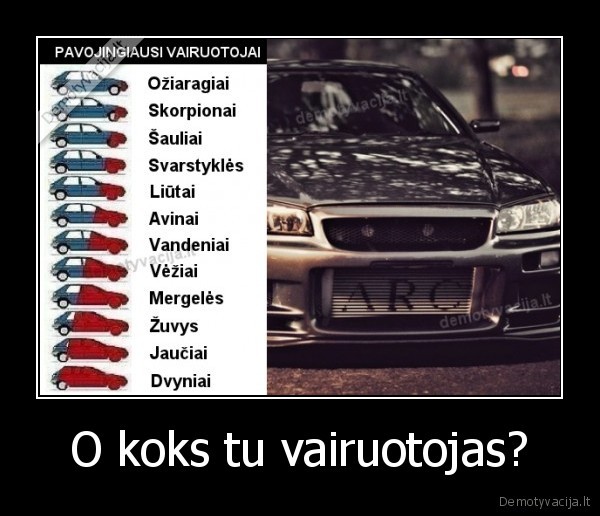 O koks tu vairuotojas? - 