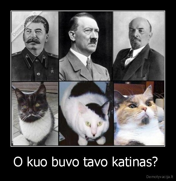 O kuo buvo tavo katinas?  - 