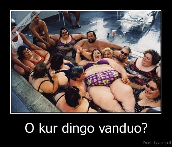 O kur dingo vanduo? - 