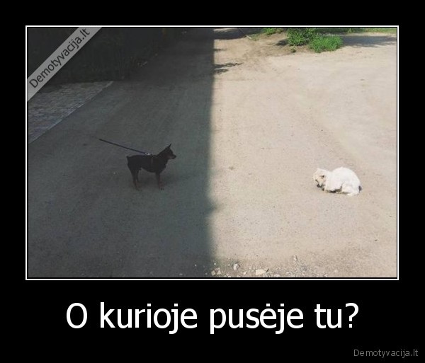 O kurioje pusėje tu? - 