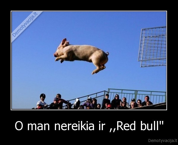 O man nereikia ir ,,Red bull'' - 