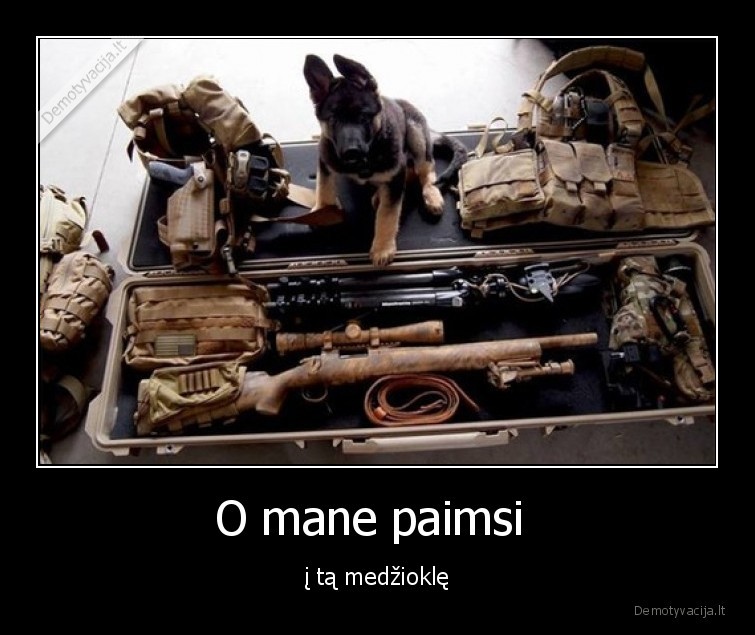 O mane paimsi  - į tą medžioklę