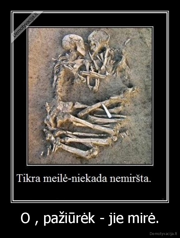 O , pažiūrėk - jie mirė. - 