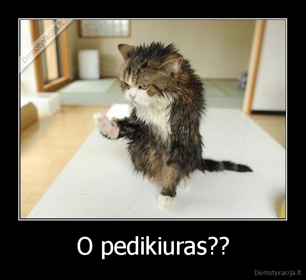 O pedikiuras?? - 