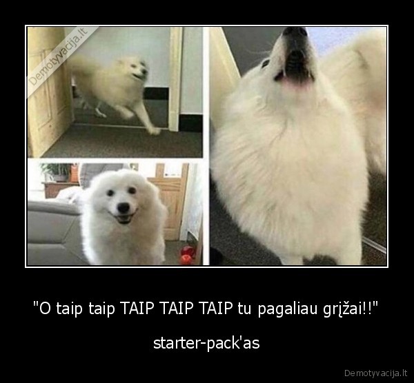 "O taip taip TAIP TAIP TAIP tu pagaliau grįžai!!" - starter-pack'as