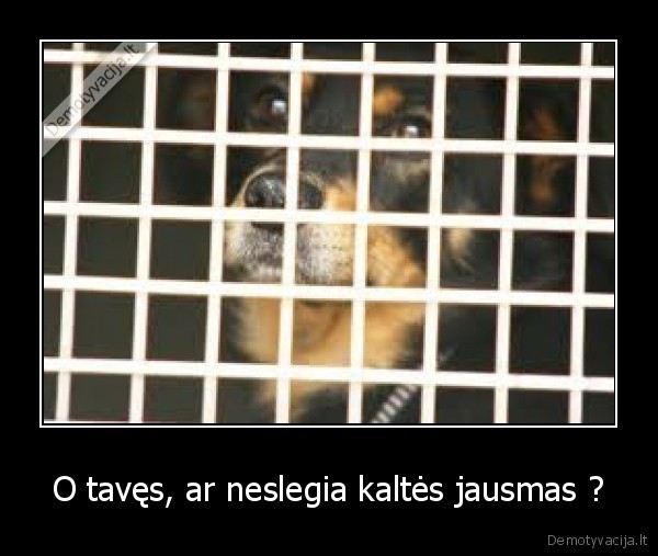 O tavęs, ar neslegia kaltės jausmas ? - 