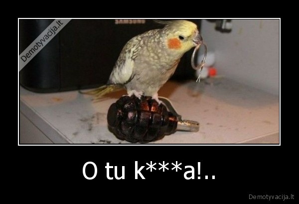 O tu k***a!.. - 