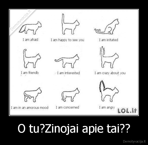 O tu?Zinojai apie tai?? - 