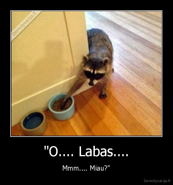 "O.... Labas.... - Mmm.... Miau?"