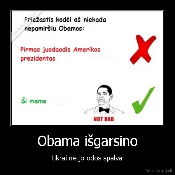 Obama išgarsino - tikrai ne jo odos spalva