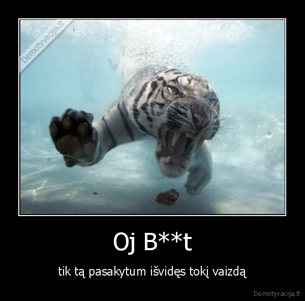 Oj B**t - tik tą pasakytum išvidęs tokį vaizdą
