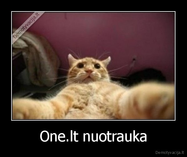 One.lt nuotrauka - 