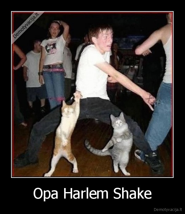 Opa Harlem Shake - 