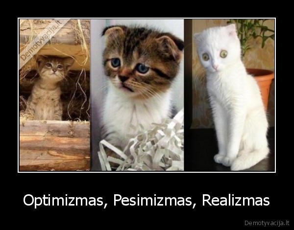 Optimizmas, Pesimizmas, Realizmas - 