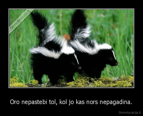 Oro nepastebi tol, kol jo kas nors nepagadina. - 