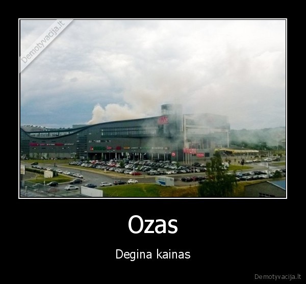 Ozas - Degina kainas