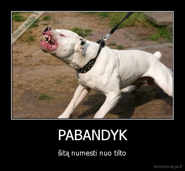 PABANDYK - šitą numesti nuo tilto