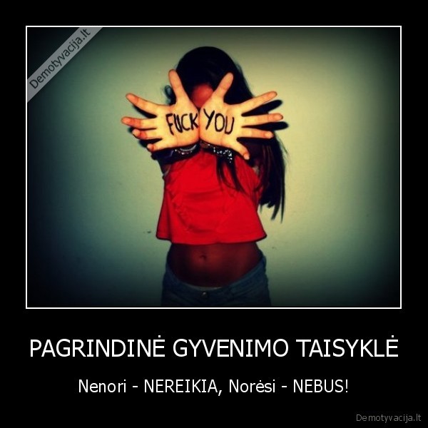 PAGRINDINĖ GYVENIMO TAISYKLĖ - Nenori - NEREIKIA, Norėsi - NEBUS!