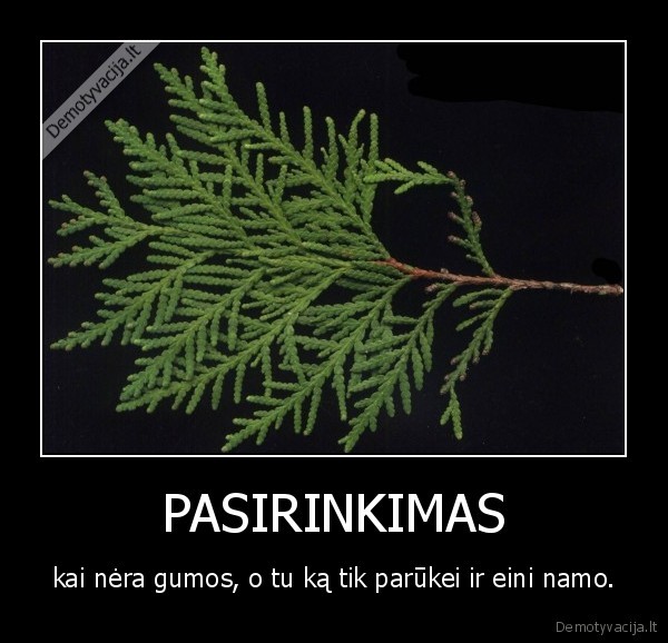 PASIRINKIMAS - kai nėra gumos, o tu ką tik parūkei ir eini namo.