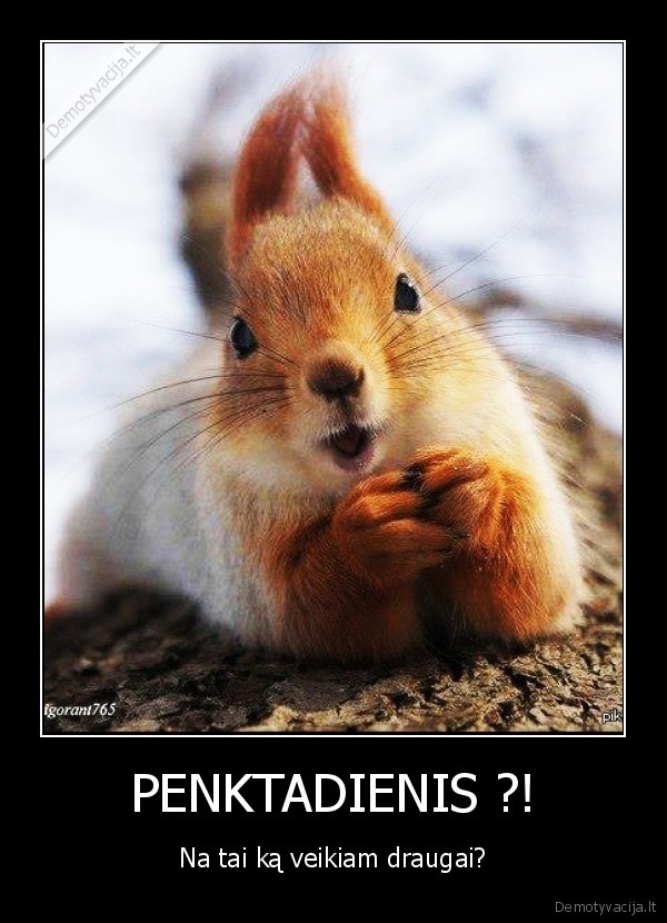 PENKTADIENIS ?! - Na tai ką veikiam draugai?