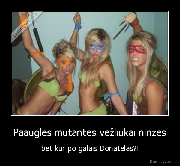 Paauglės mutantės vėžliukai ninzės - bet kur po galais Donatelas?!