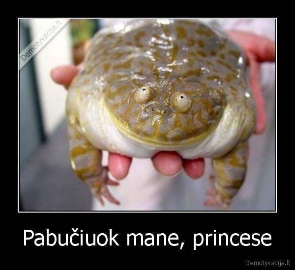 Pabučiuok mane, princese - 