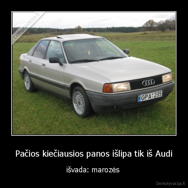 Pačios kiečiausios panos išlipa tik iš Audi - išvada: marozės 