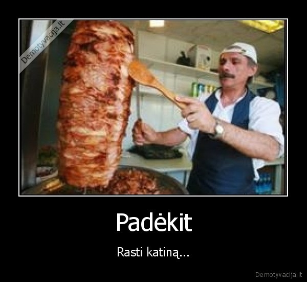 Padėkit - Rasti katiną...