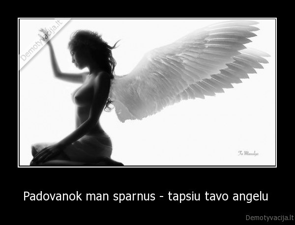 Padovanok man sparnus - tapsiu tavo angelu  - 